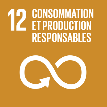 Objectif de développement durable 12 — Consommation et production responsables