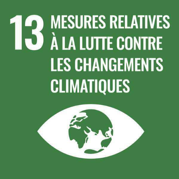 Objectif de développement durable 13 — Mesures relatives à la lutte contre les changements climatiques